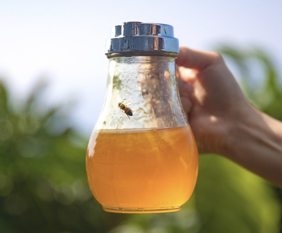 image Lehua Honey 6 oz