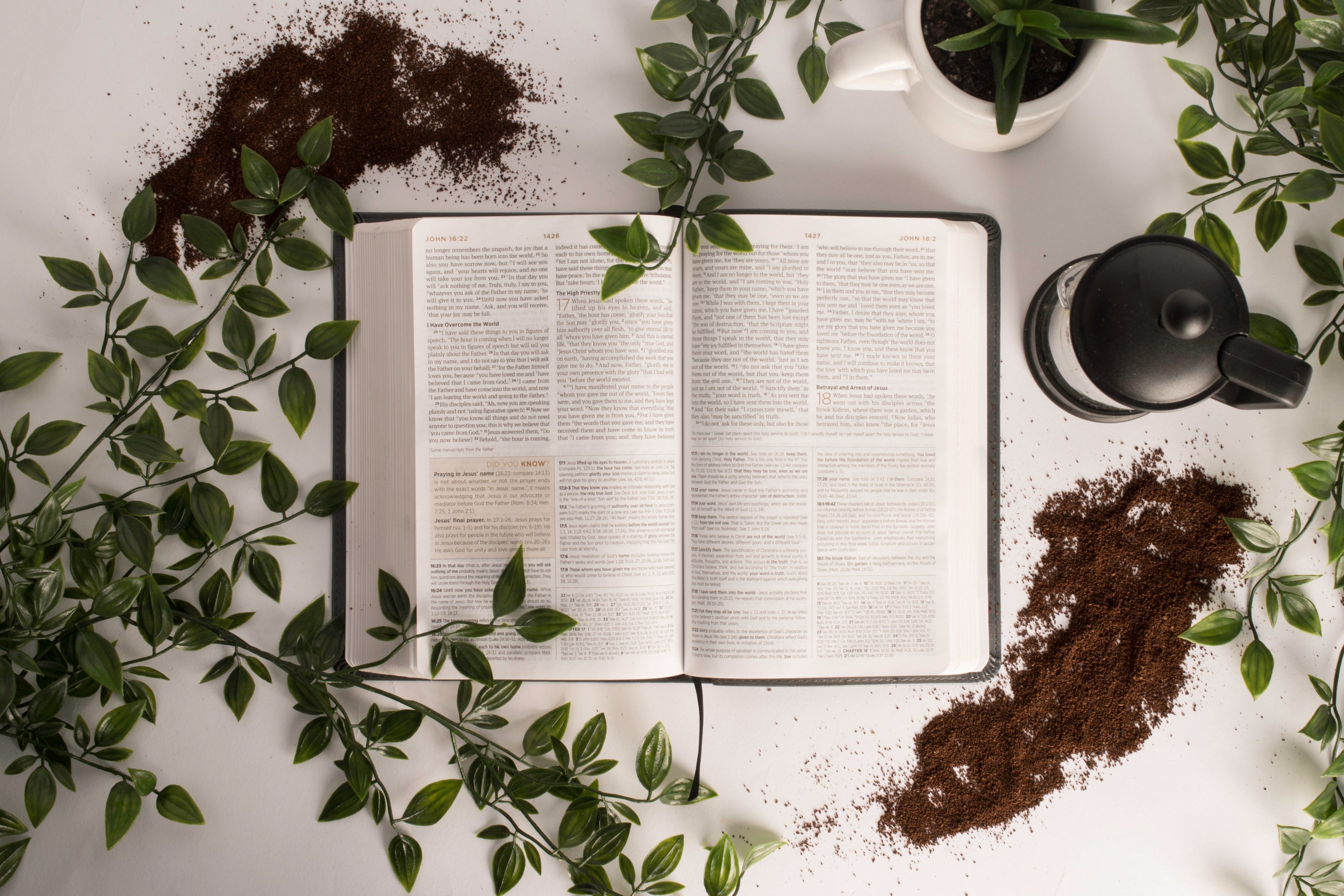 The 6 Commandments for Brewing Coffee You Can't Live Without