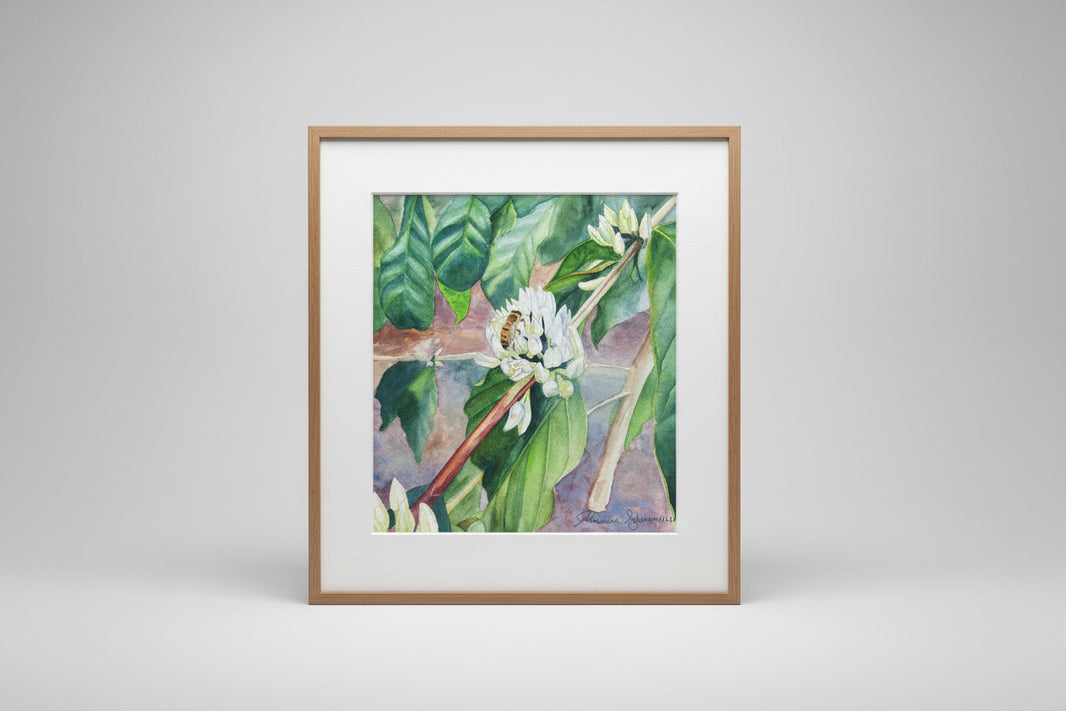 Johanna Schumacher Original Art