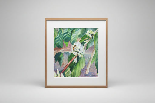 Johanna Schumacher Original Art