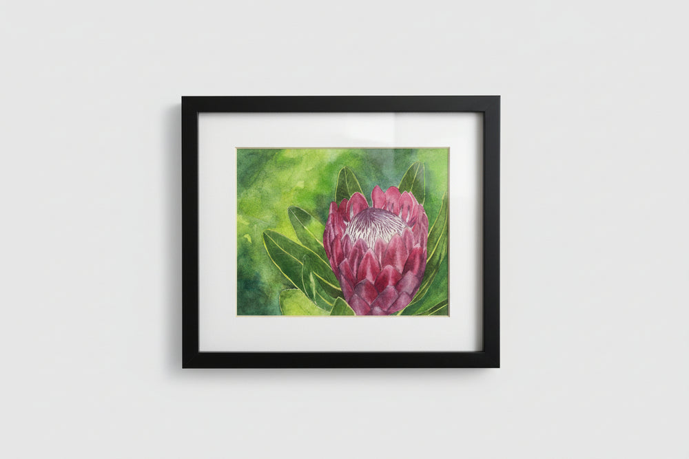 Johanna Schumacher Original Art