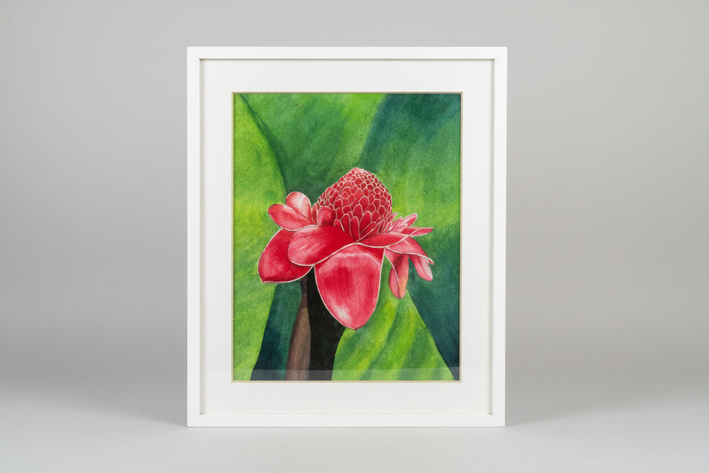 Johanna Schumacher Original Art