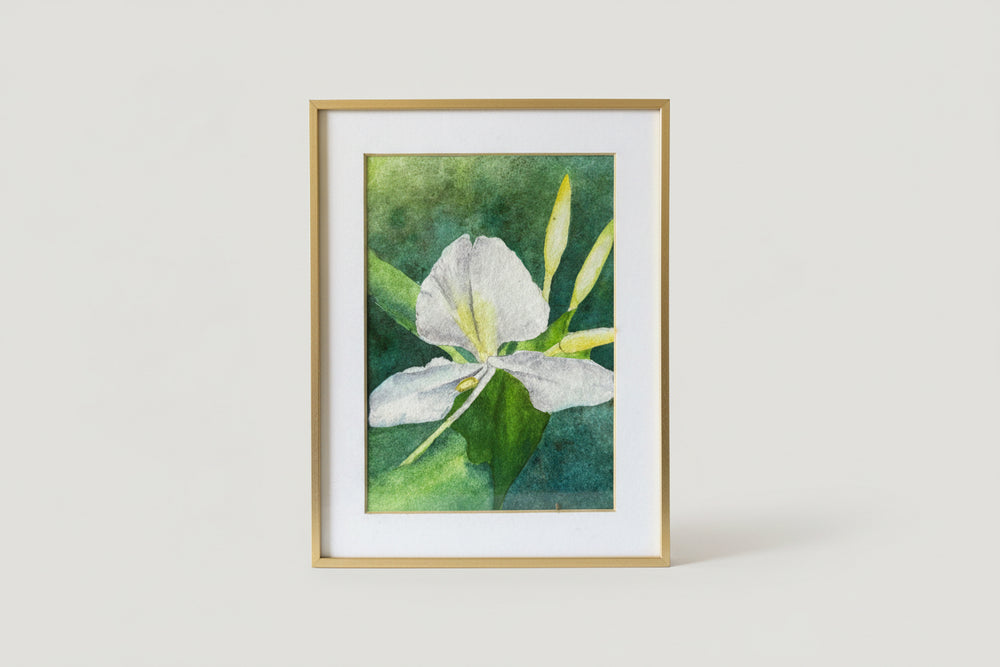 Johanna Schumacher Original Art