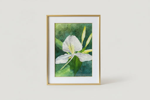 Johanna Schumacher Original Art