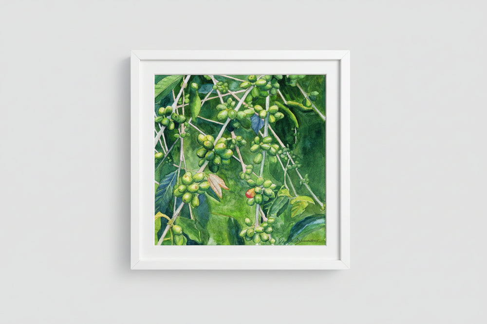 Johanna Schumacher Original Art