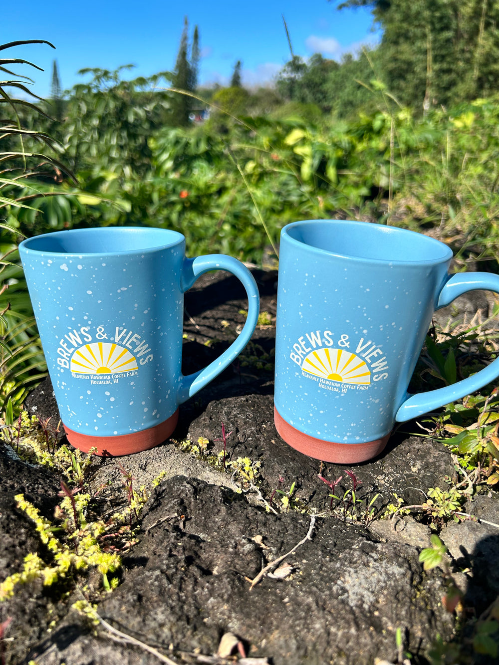 Brews & Views Coffee Mug