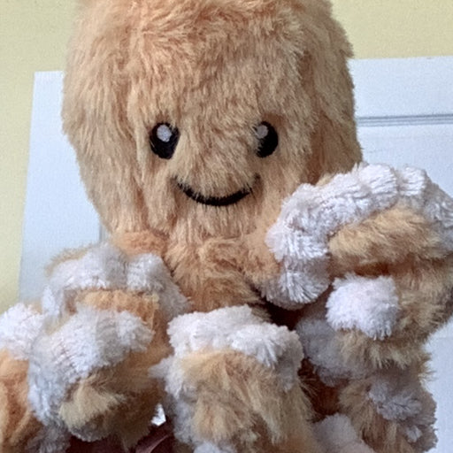 Plush Toys
